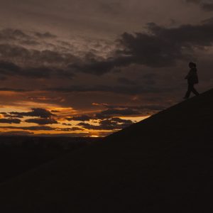 CLIP 5_1.5.1